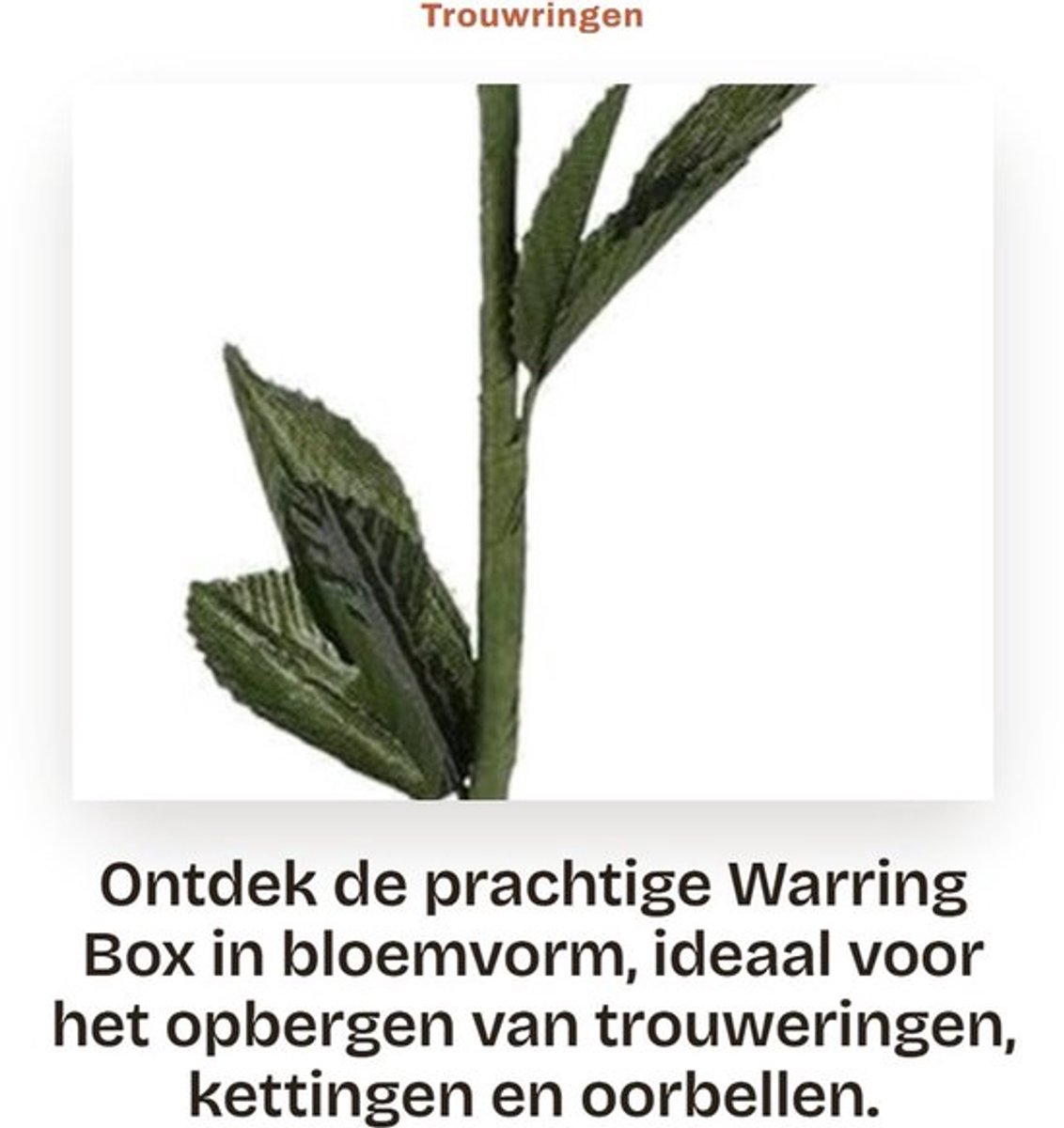 Opbergdoos - Sterilisator Flessen - Veilig PP Materiaal - Herbruikbaar - Voor Speelgoed/Bijtringen - Eenvoudig te Bedienen