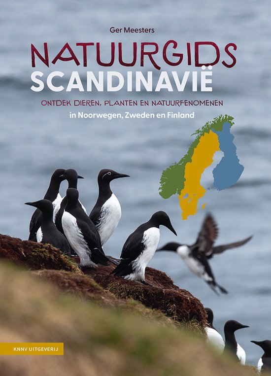 Groep alk-achtige vogels op rotsen, met op de achtergrond een kaart van Noorwegen, Zweden en Finland.