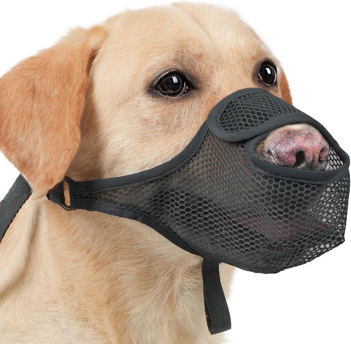 Muilkorf voor honden, middelgrote maat, verstelbaar, anti-black-muilkorf met klittenbandsluiting, ademend, veilig om je te beschermen tegen eten, bijten en blaffen (L)