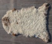 Mooie lamsvacht met zachte krulwol  nr S55 van Donja