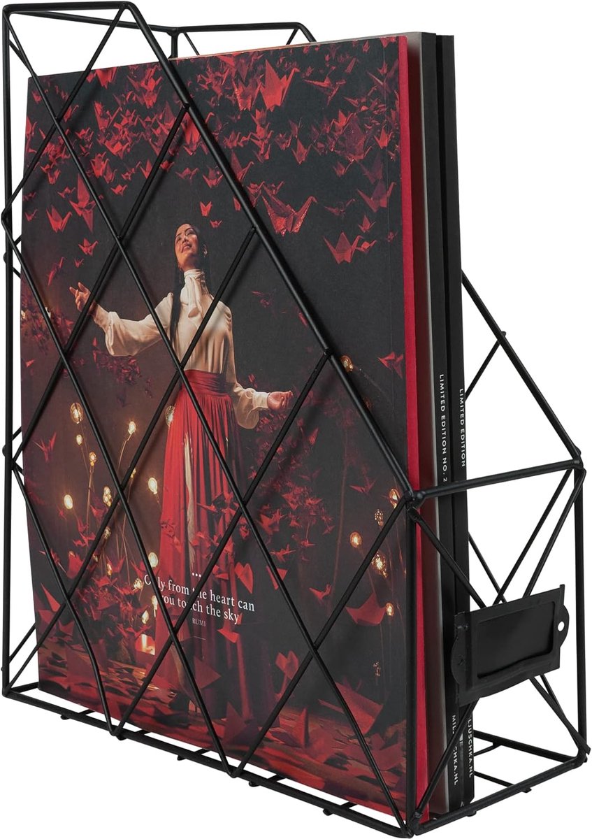 Tijdschriftenhouder - Tijdschriftencassette - Postrek - Boekenrek - Post organizer - Postvak - Tijdschriftenrek - Lectuurrek - Magazinehouder - Draadstaal - 24 x 10 x 30 cm (lxbxh) - Zwart