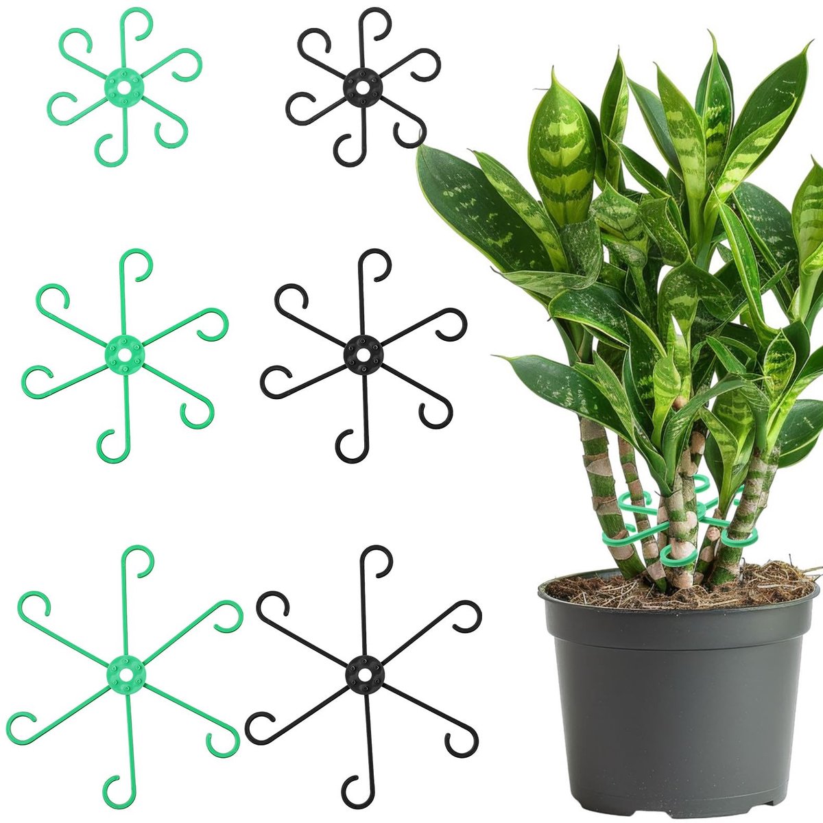 Dailygoods - Tyqour 6 stuks plantenstengelondersteuning, plantensteunen voor kamerplanten, plantenstokken voor kamerplanten, plantenhouders, herbruikbare plantensteunpalen voor tuinieren (groen en zwart)