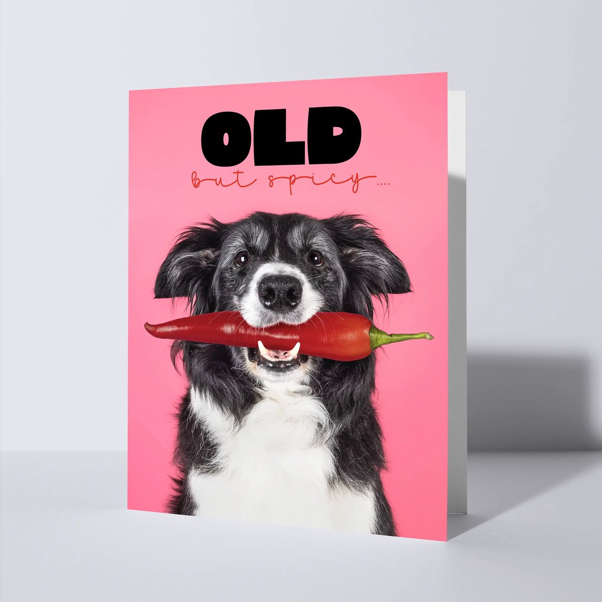CAT'CHY Cards - wenskaart - verjaardag - hond - border collie