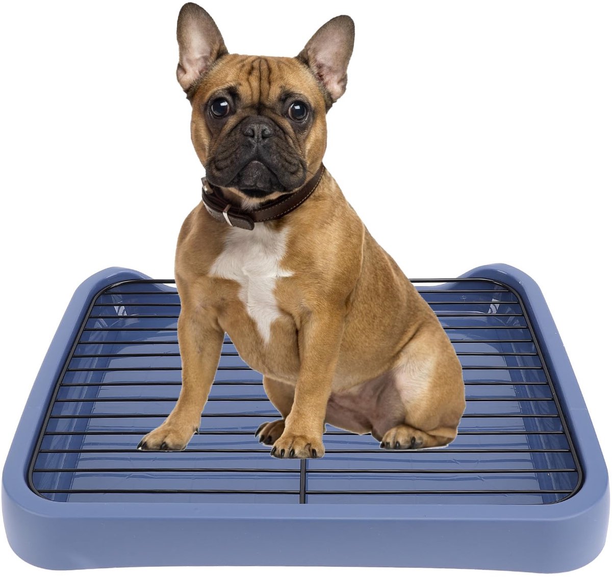 Dog zindelijkheidsbak - indoor hondentraining toilet - verwijderbaar - ideaal voor puppy's - ShopVlot