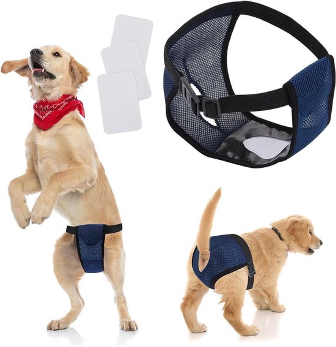 Wasbare maandverband Allecto Plus voor vrouwelijke honden