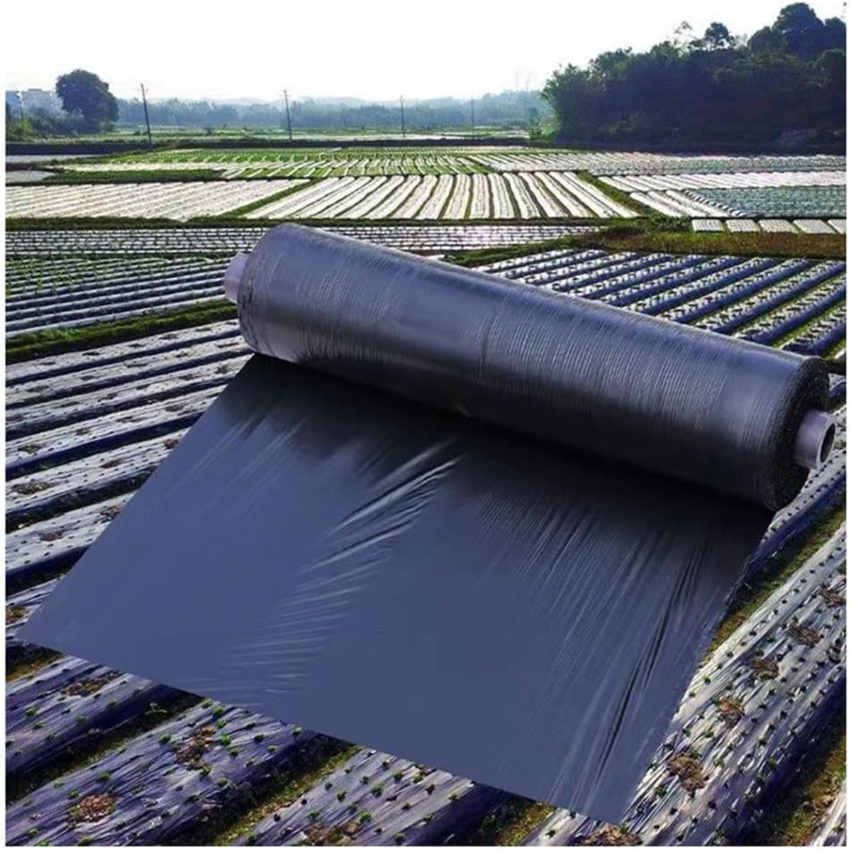 Landbouw Mulchfolie - Wieden Plastic - Planten Beschermen - Dikkere Kwaliteit - 0.8mx30m - Zwart