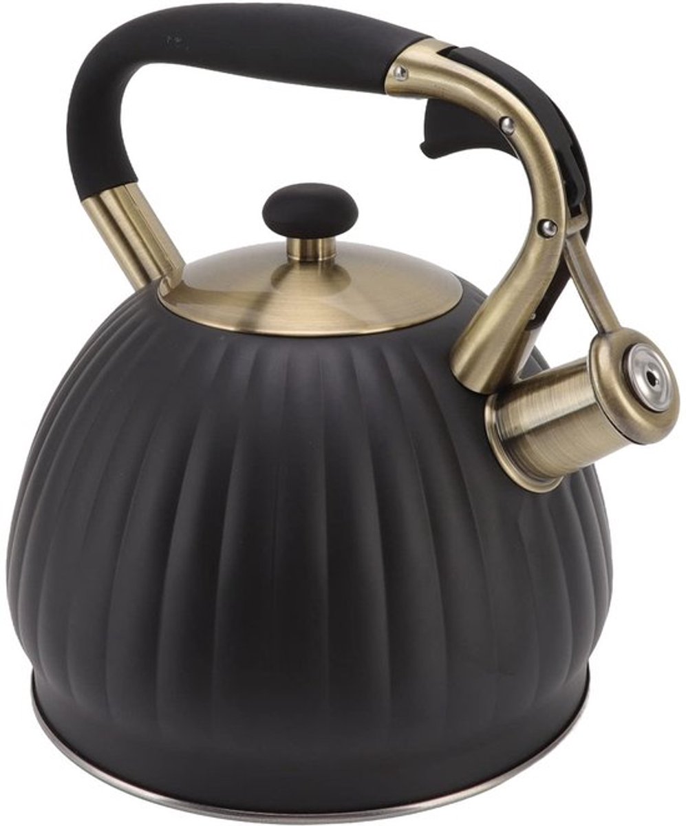 Dailygoody OmGoods - 3,5l roestvriewarme theeketel fluitsysteem