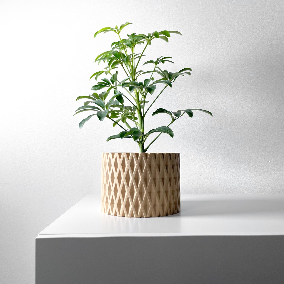 Skushy Grivan Bloempot - Moderne Designpot voor Kamerplanten - Sculpturale Plantenpot voor Woonkamer en Kantoor - Premium Woondecoratie