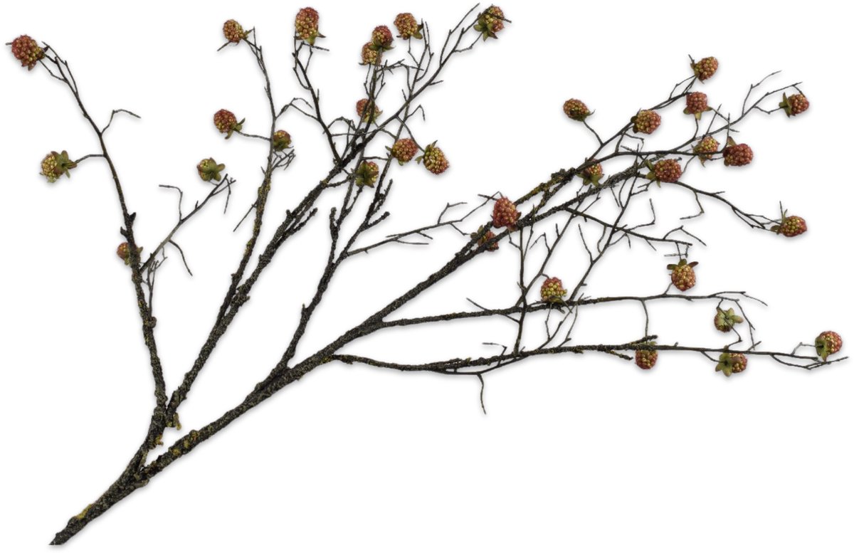 Silk-ka Kunstbloem-Zijden Bloem Bramentak Groen-Roze 105 cm