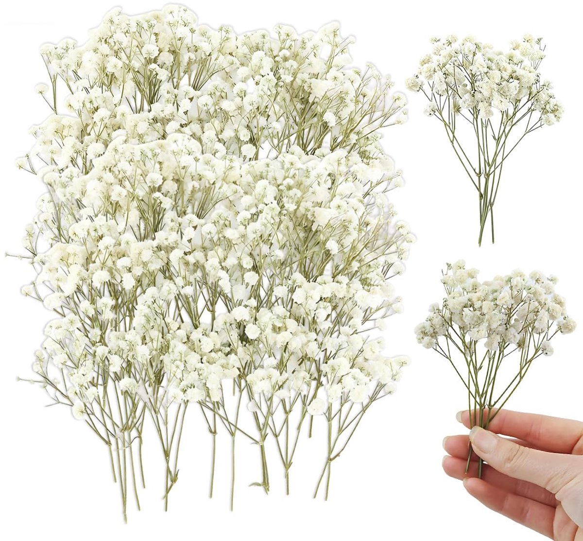 SnelShoppen - 100 stuks gedroogde bloemen Gypsophila voor knutselen, DIY fotolijsten, bladwijzers, wenskaarten - Wit, klein, perfect voor decoratie en