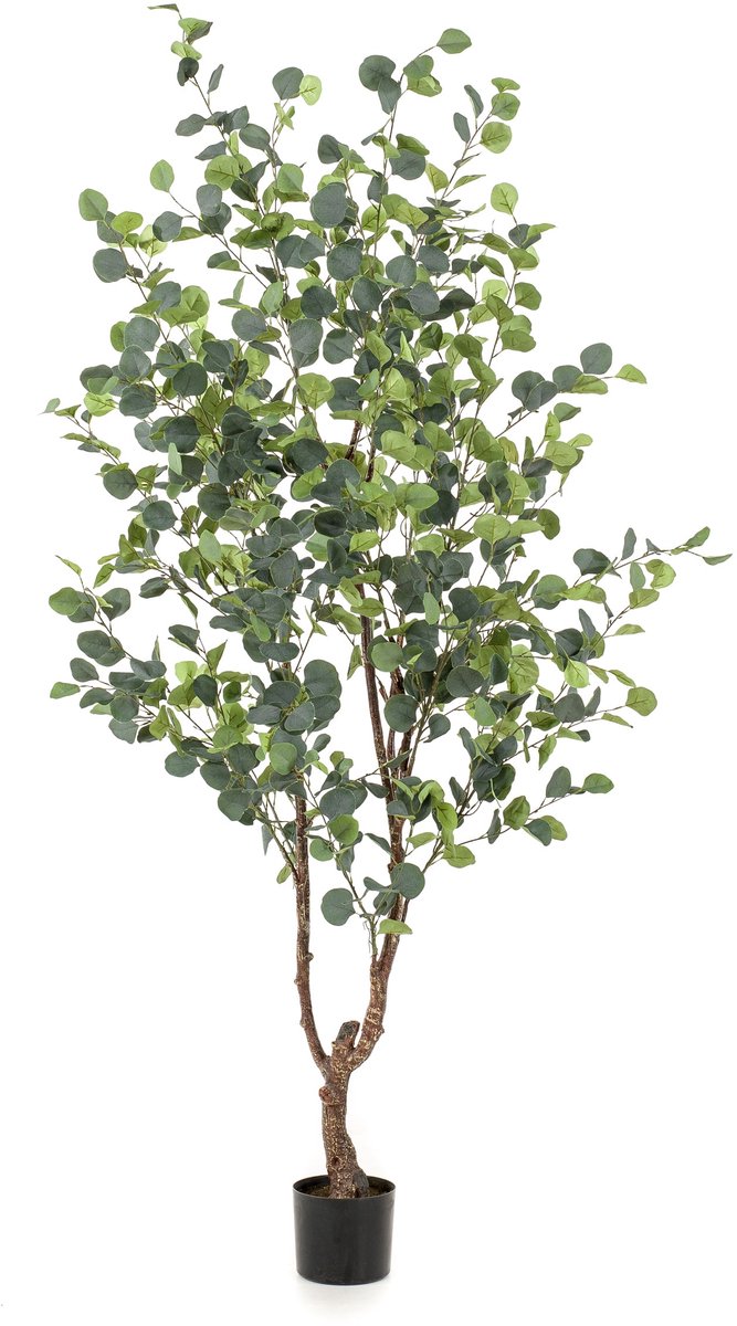 Emerald Kunstboom Eucalyptus 180cm - Kunstplant voor binnen - Eucalyptus plant Groen