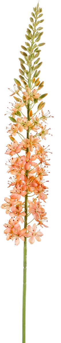 Emerald - Kunstbloem Eremurus 105cm peach - Kunstplant voor binnen