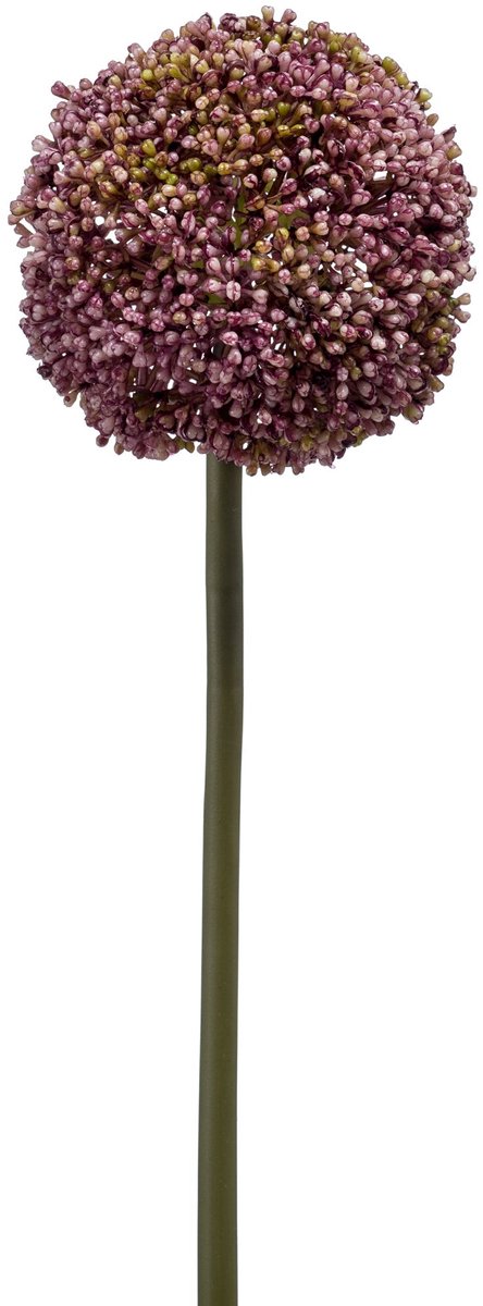 Emerald Kunstbloem Allium 75cm paars - Kunstplant voor binnen