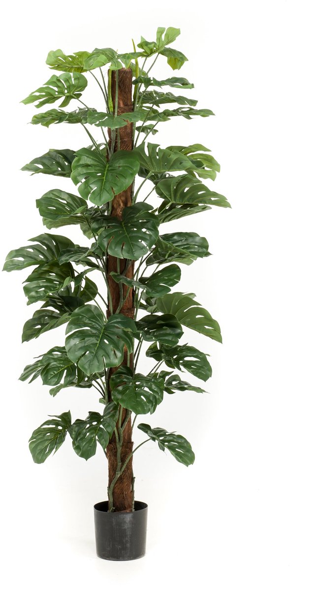 Emerald Kunstplant Monstera op paal 180cm - Kunstplant voor binnen Groen