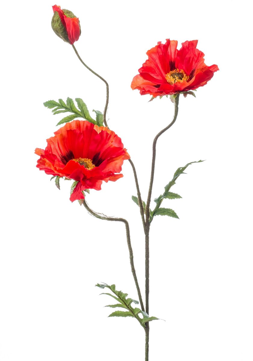 Emerald Kunstbloem Klaproos rood 90cm - Kunstplant voor binnen