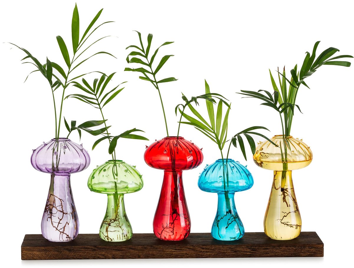 SnelShoppen - Glazen Paddenstoel Bloemenvaas Set van 5, Moderne Bud Vazen met Houten Ondergrond, Gekleurde Terrarium Potten voor Bloemen, Chic Decor v