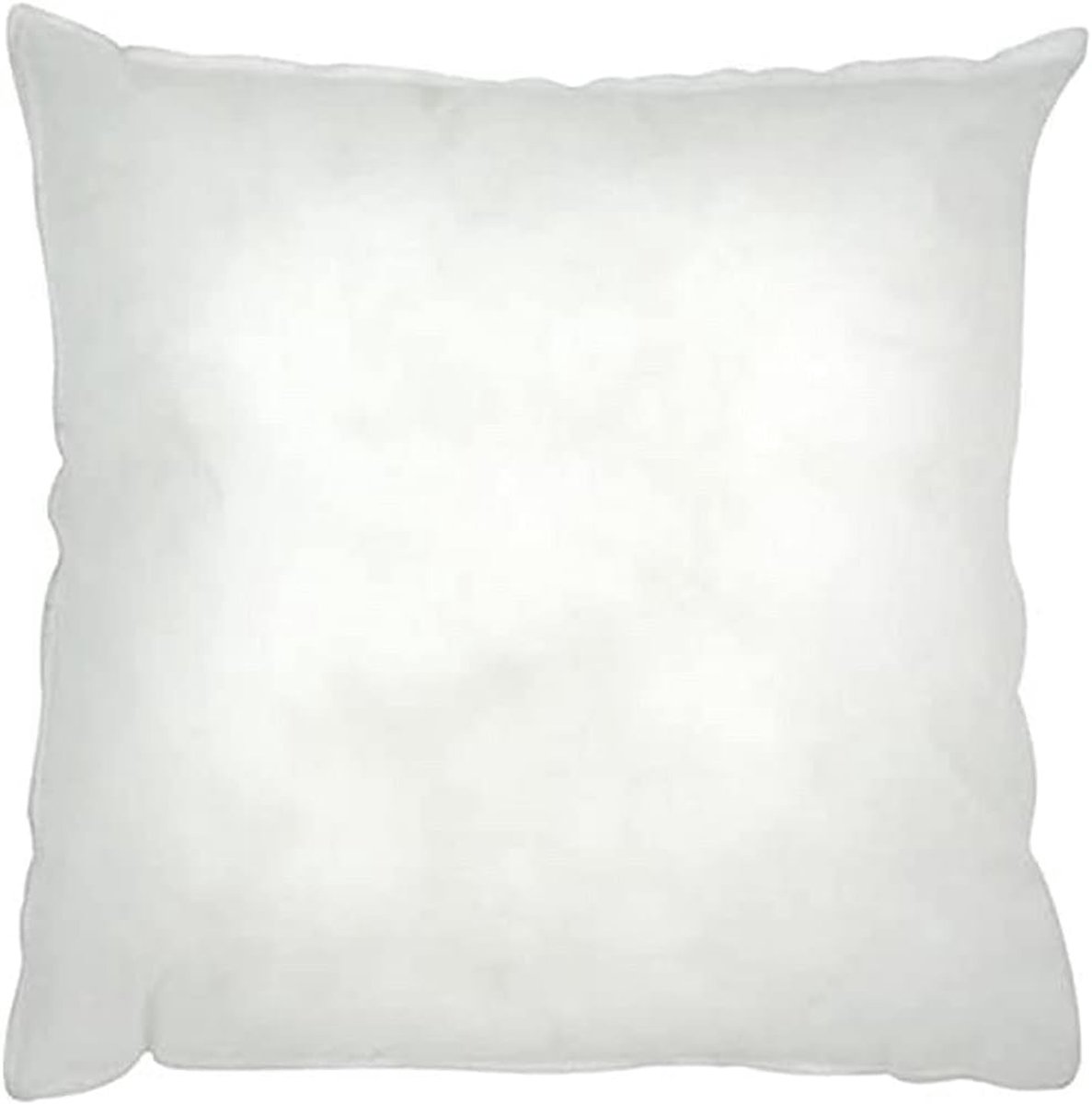 SnelShoppen - Corovan Cushion Pad Infill 30 x 30 cm, Anti-allergisch, Hoogwaardige Hyalurosmooth Vulling voor Kussens, Duurzaam Polyester, Perfect voo