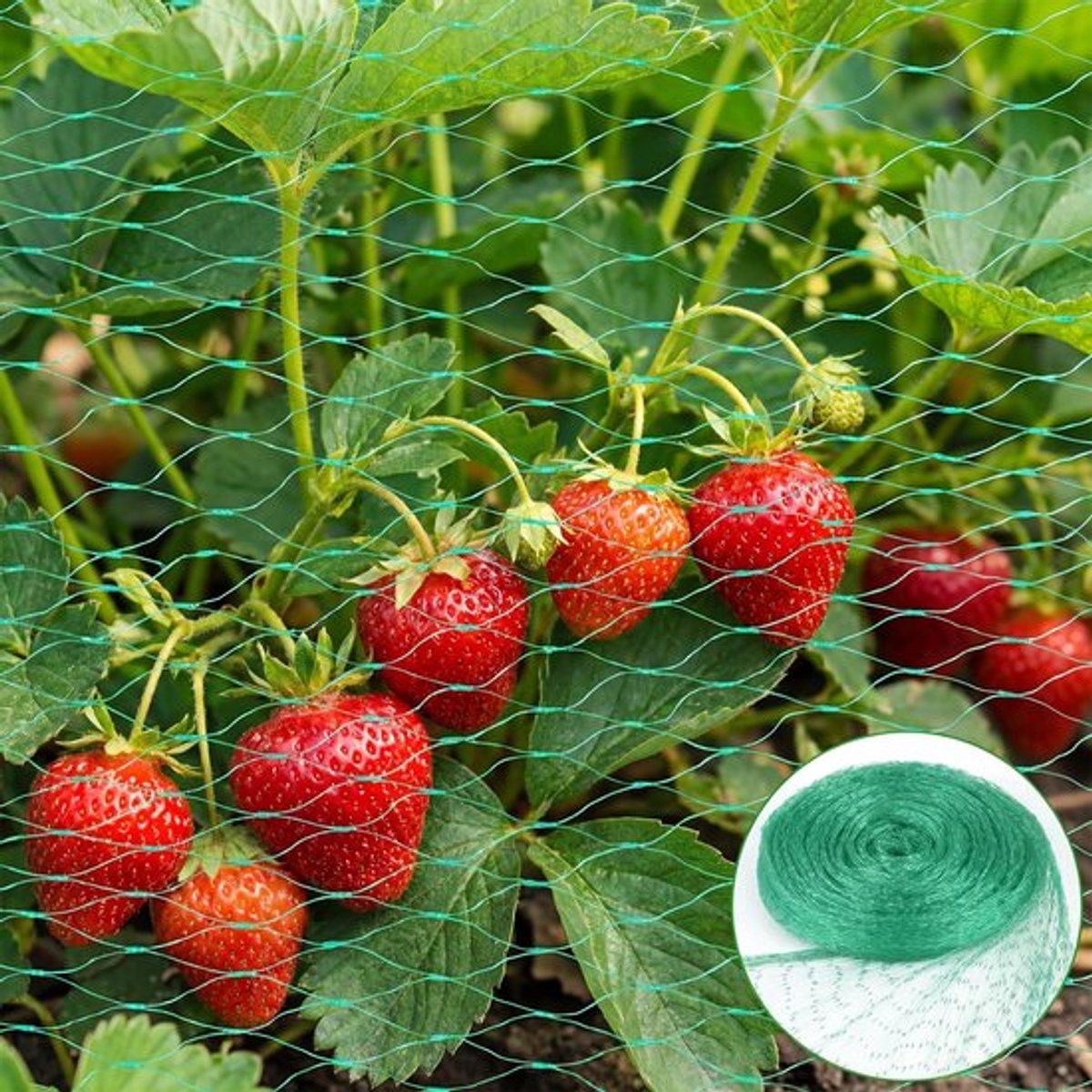 Vogelnet - 4 x 6 m vogelweringsnet - plantbeschermingsnet - vogelnetten voor vijvers - moestuinen, bloemen, struiken en fruitbomen (Groen – 4 x 6 m)