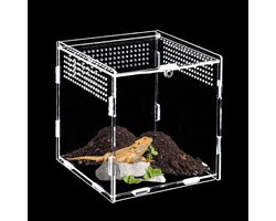 Mini Terrarium 15 x 15 cm voor Sprinkhanen, Slakken en Reptielen - Voedingsbox voor Insecten en Kleine Dieren