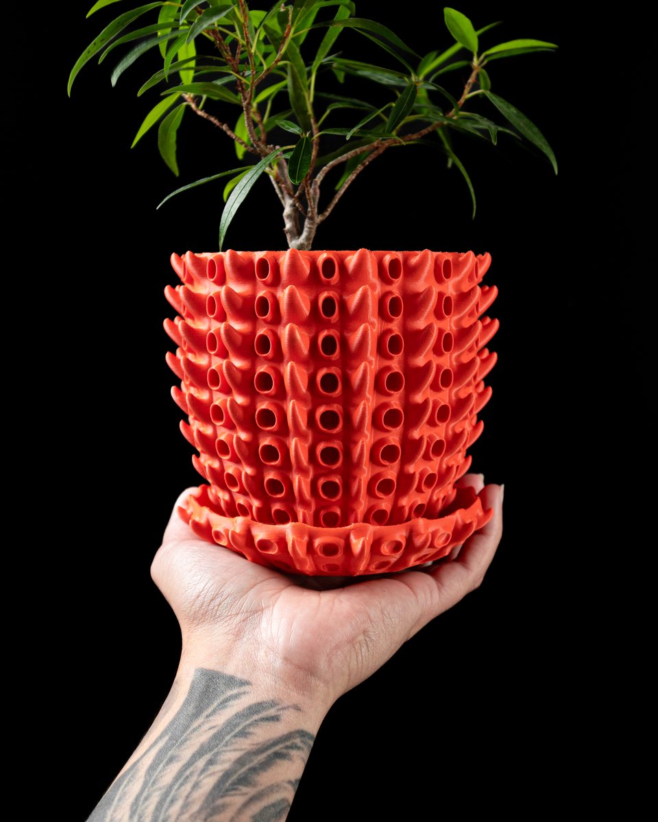 Skushy Barnacle Bloempot - Moderne Designpot voor Kamerplanten - Sculpturale Plantenpot voor Woonkamer en Kantoor - Premium Woondecoratie