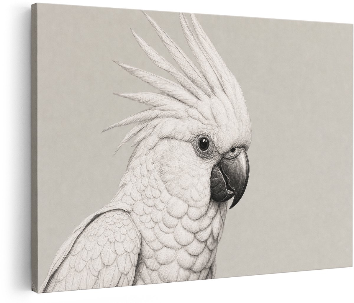 Artaza Canvas Schilderij Witte Kaketoe - Dierenillustratie Op Grijze Achtergrond - 150x100 cm - Groot - Wanddecoratie Woonkamer - Schilderijen - Muurdecoratie