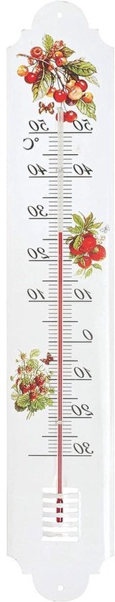 Metalen Buiten Thermometer 50 cm met Decoratieve Fruit Uitstraling