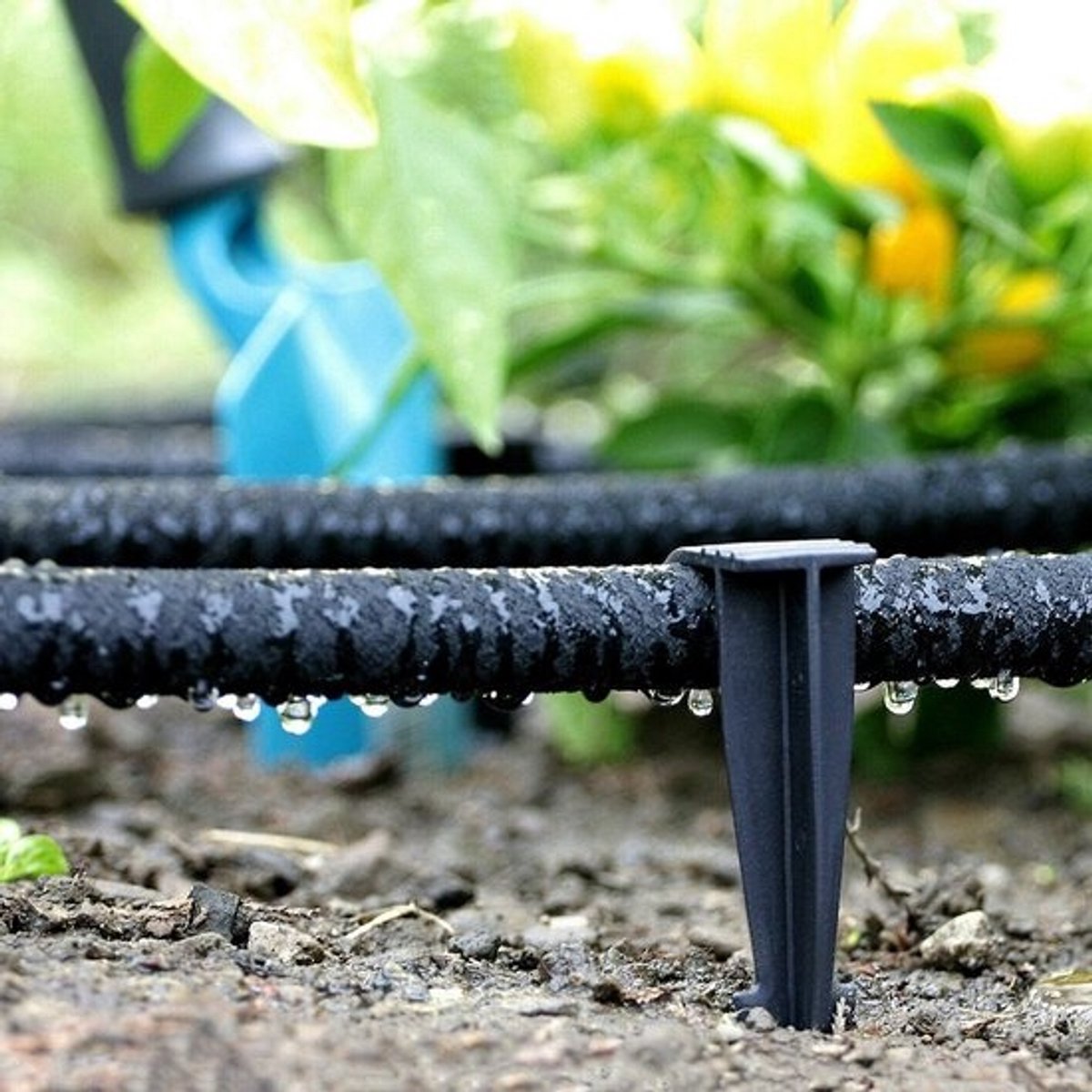 Parelslang - Druppelslang - Tuin Besproeien - Waterbesparend - 15 meter - Zwart