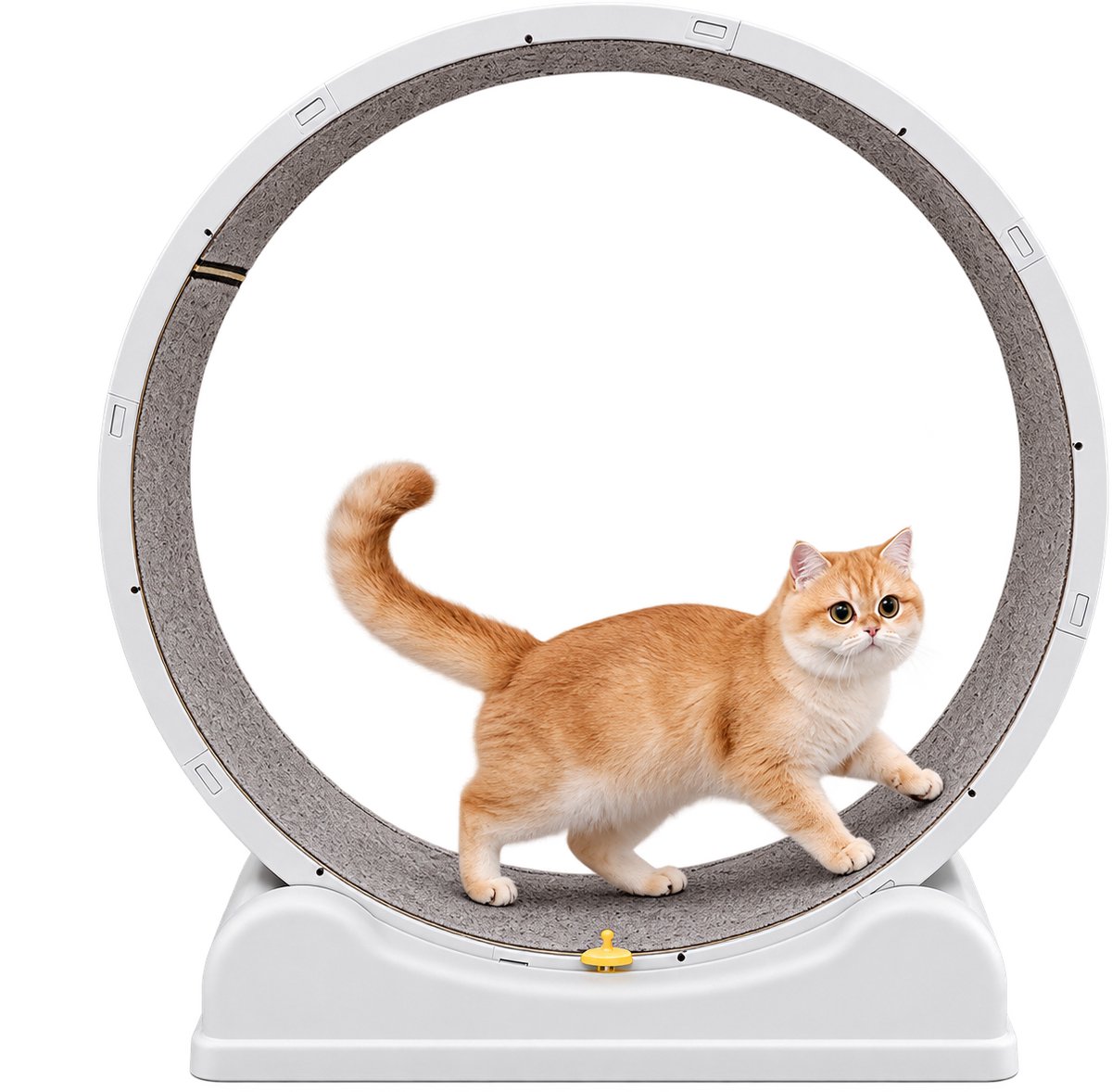 Veya Loopwiel kat - Kattenwiel - Loopband met stille werking - Eenvoudig reinigen - Veilige rem - 59cm - Maximaal 31 kg - Grijs