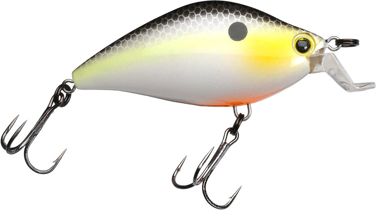 Drijvend kunstaas - Crankbait kunstaas - Vissen in zoetwater - L-vormige lip - 2-1/4 inch - Sexy Shad