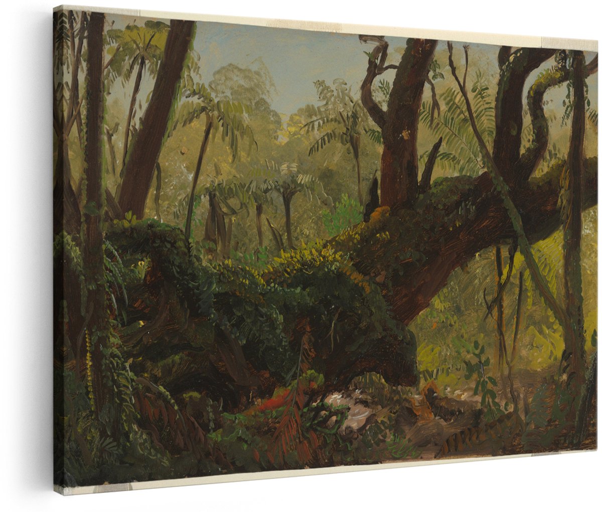 Artaza Canvas Schilderij Regenwoud - 180x120 cm - Groot - Wanddecoratie Natuur - Muurdecoratie Bos - Decoratie Boom - Schilderijen Op Canvas