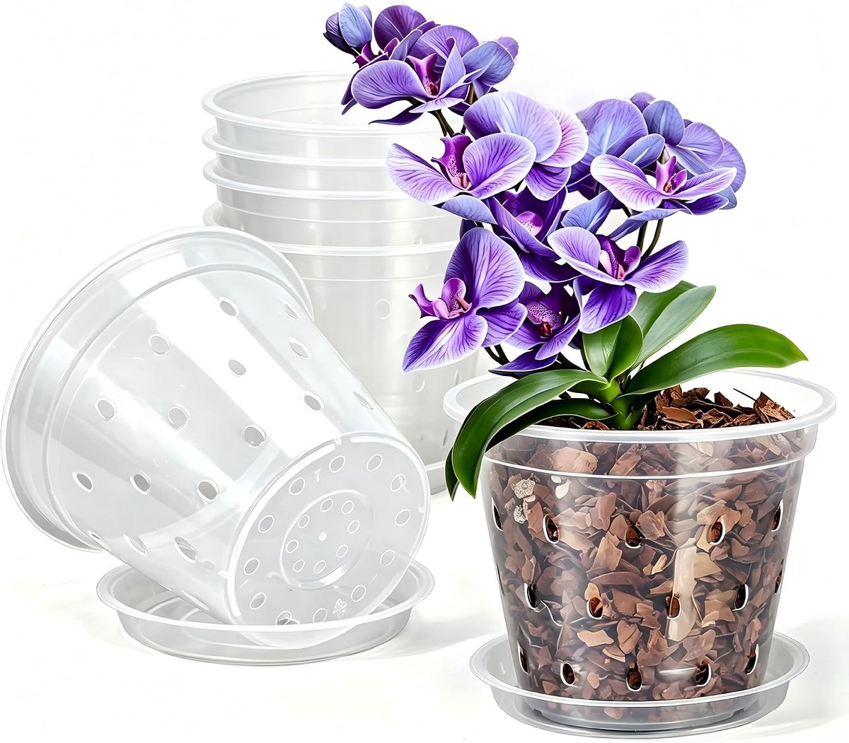 KZQ Set van 5 doorzichtige orchideeënpot met schotel en afvoergaten, 12 cm, stevig kunststof, ideaal voor verpotten en gezonde wortelgroei, geschikt voor binnen- en buitenplanten