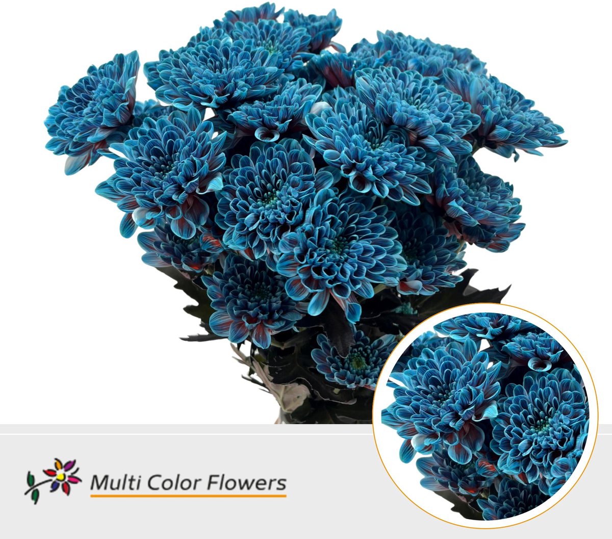 10x Chrysant overig 60cm