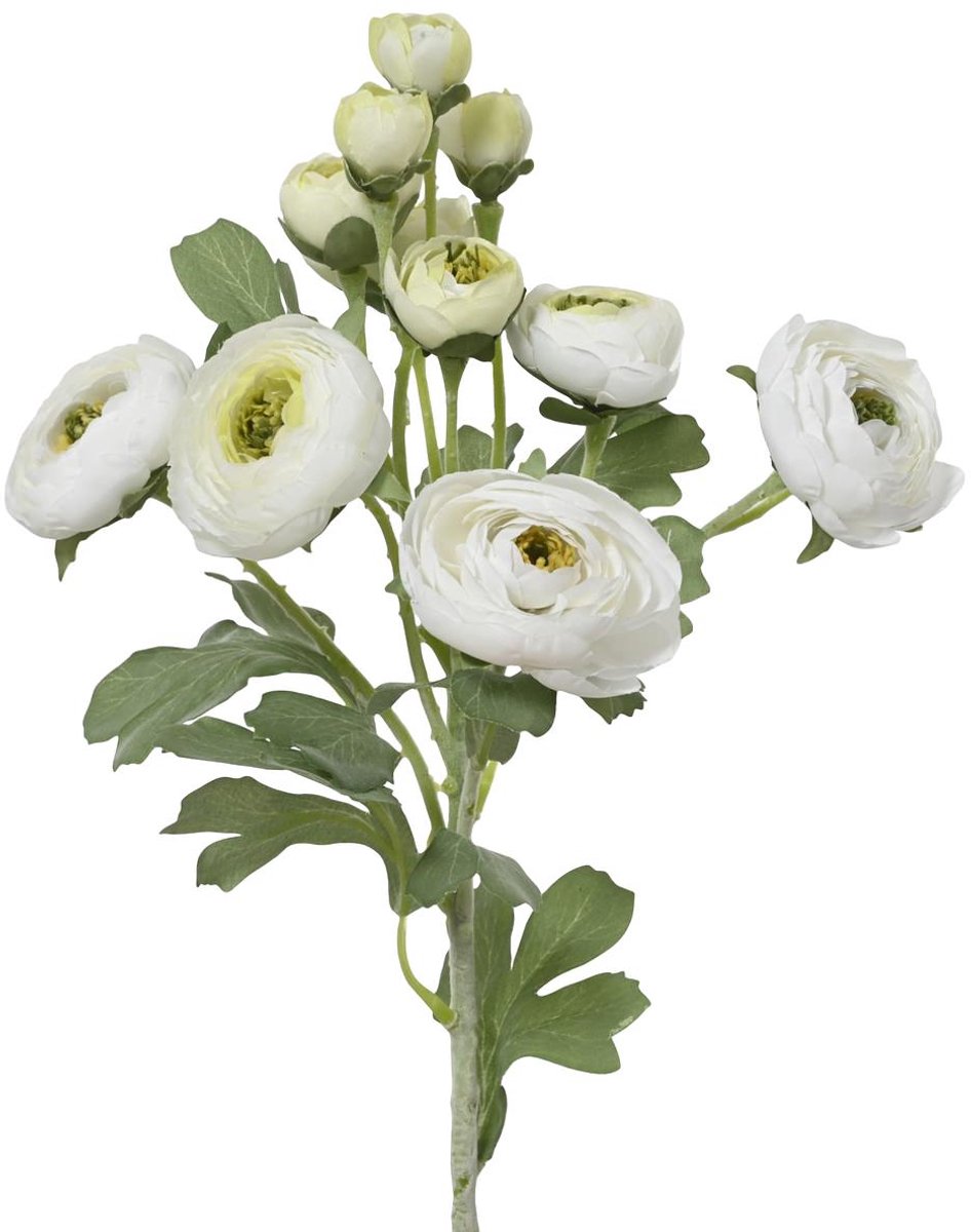 Everlands Ranonkel Wit 6 Bloemen & 6 Knoppen 55 cm - Kunstbloemen