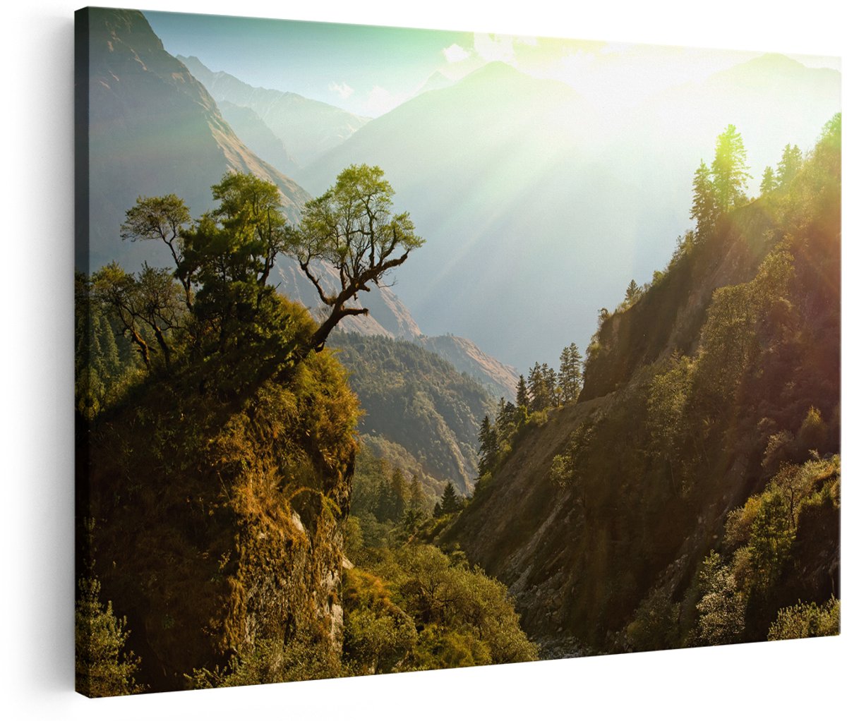Artaza Canvas Schilderij Bos In De Bergen Met Zonneschijn - Kleur - 150x100 cm - Groot - Foto Op Canvas - Wanddecoratie Woonkamer