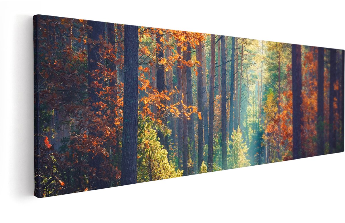 Artaza Canvas Schilderij Herfstbos Met Zonneschijn - Kleur - 150x50 cm - Groot - Wanddecoratie Woonkamer - Schilderijen - Muurdecoratie