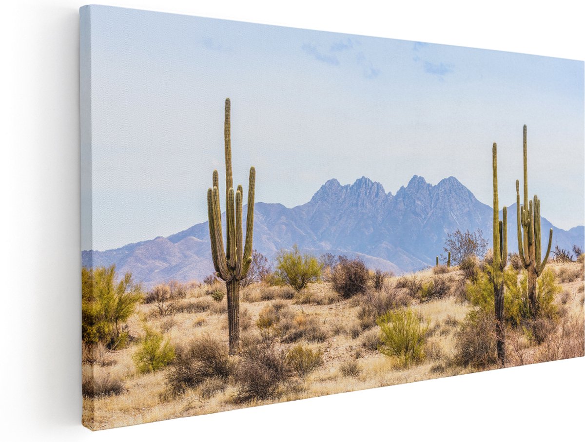 Artaza Canvas Schilderij Cactussen in de Woestijn - 140x70 cm - Groot - Wanddecoratie Woonkamer - Schilderijen - Muurdecoratie