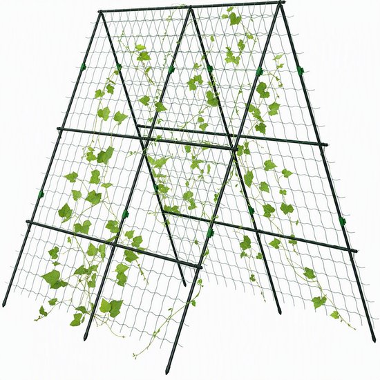 Groen A-vormig klimrek met klimplanten, witte achtergrond.
