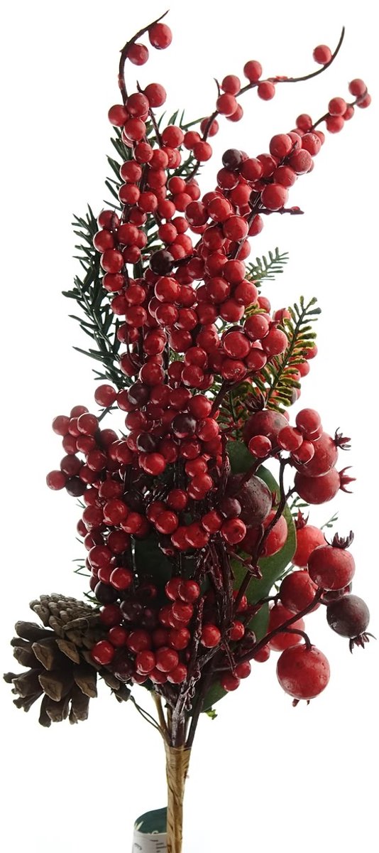 Gasper Kersttak bessen rood met dennenappel & dennentakken