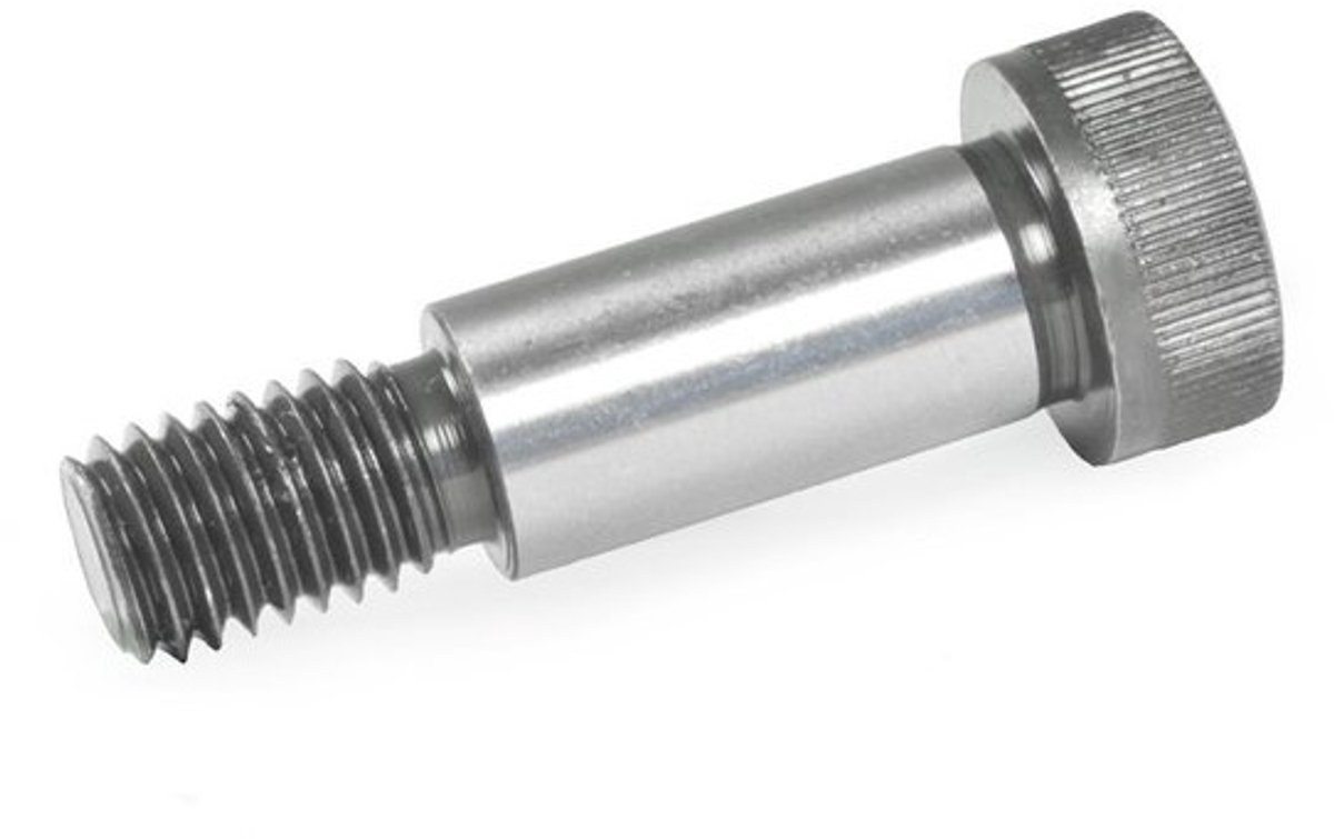 Paspoorschroeven met band - Machineschroeven - Bevestigingsklussen - Gelegeerd staal - M5 16mm - Zilver