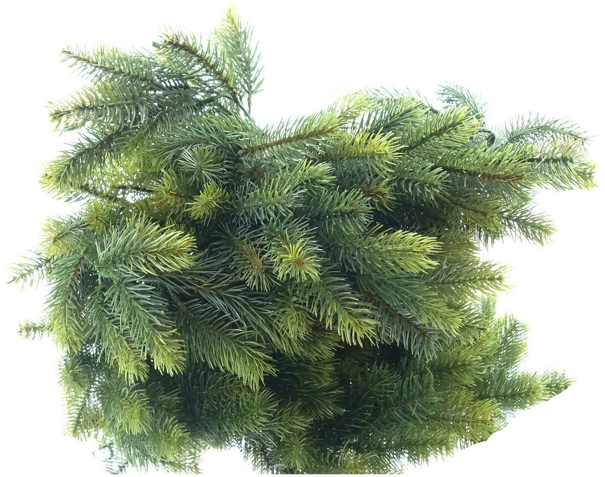 Gasper Kerstslinger Spar Groen 180 cm - Kunstplanten