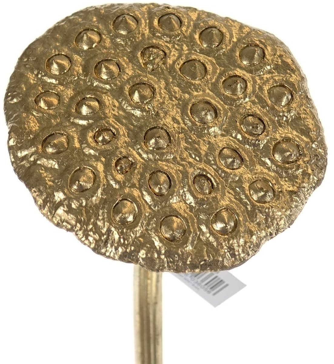 DPI Kerstdeco Lotus Vruchtstand Goudkleurig 75 cm - Kunstbloemen