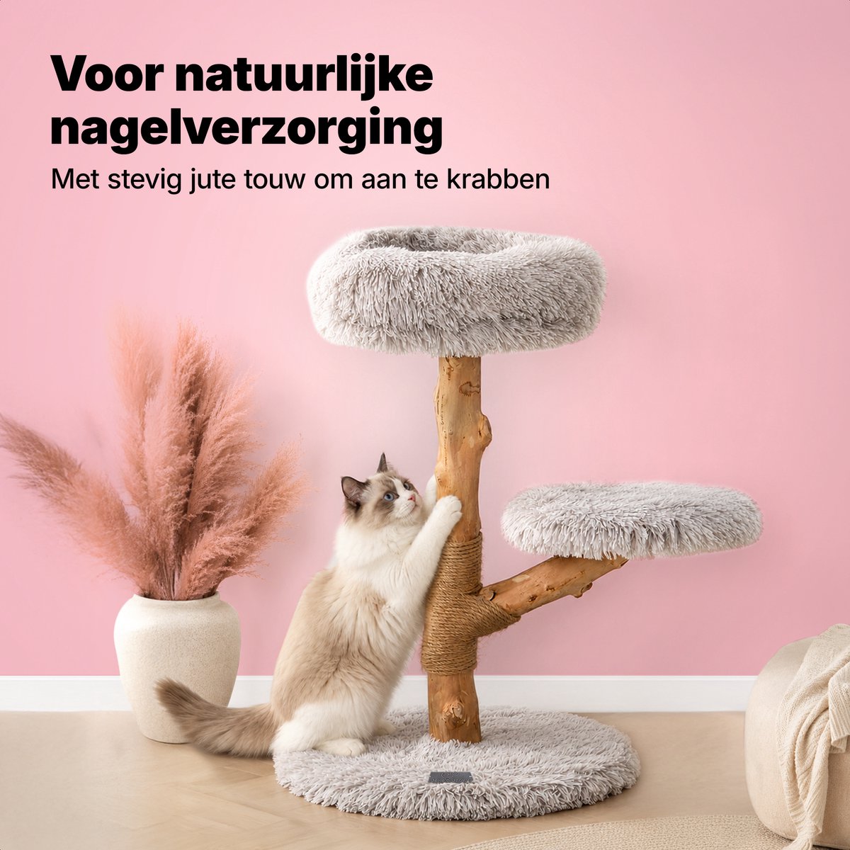 Jake Jake and Jacky Krabpaal - afbeelding 4