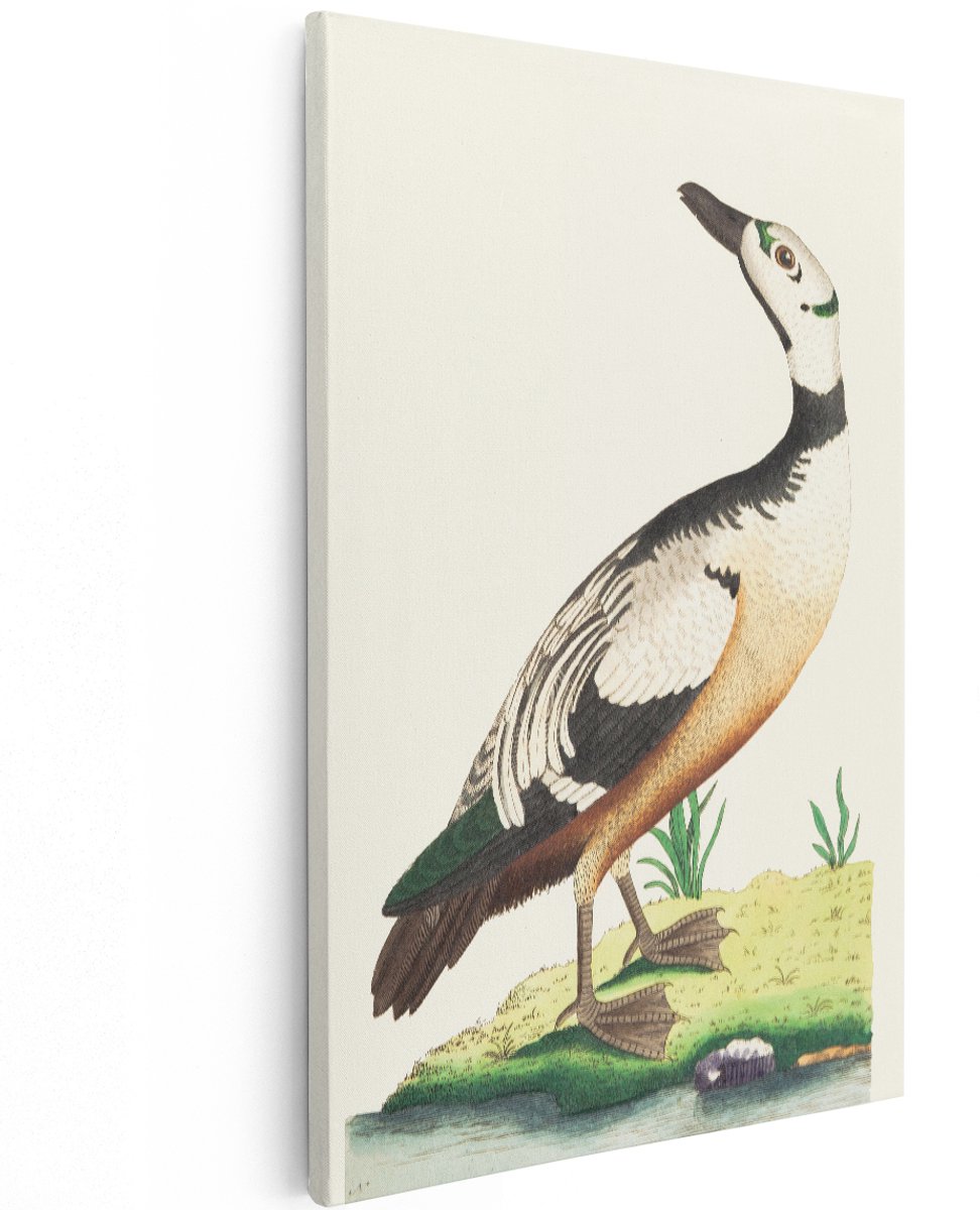 Artaza Canvas Schilderij Eend - 120x180 cm - Groot - Wanddecoratie Vogels - Muurdecoratie Vintage - Decoratie Natuur Woonkamer - Schilderijen Op Canvas