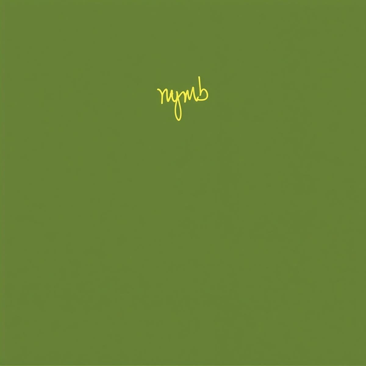 Nymb - Nothing New... (LP)