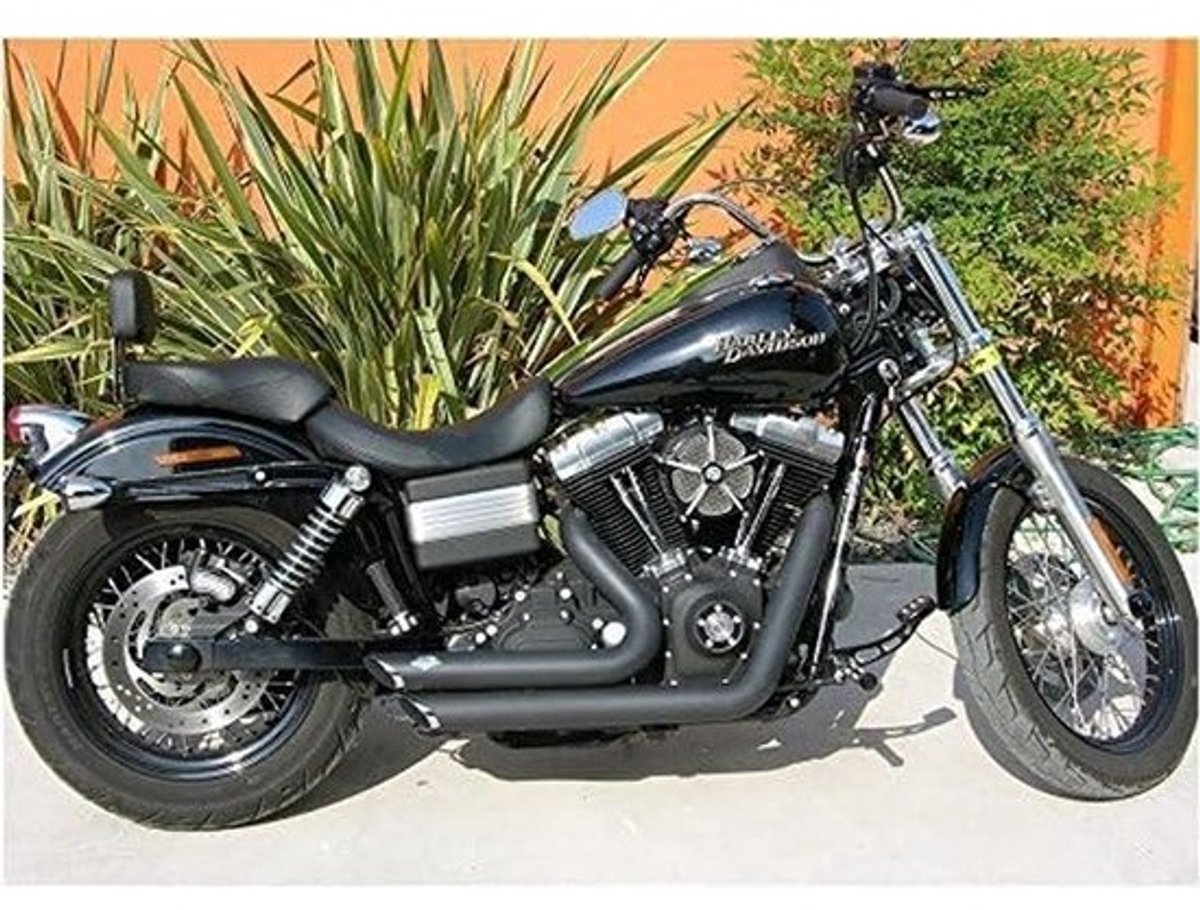 Zwarte Sissybar met Rugleuning voor Harley Dyna Street Bob FXDB - Snelle Montage