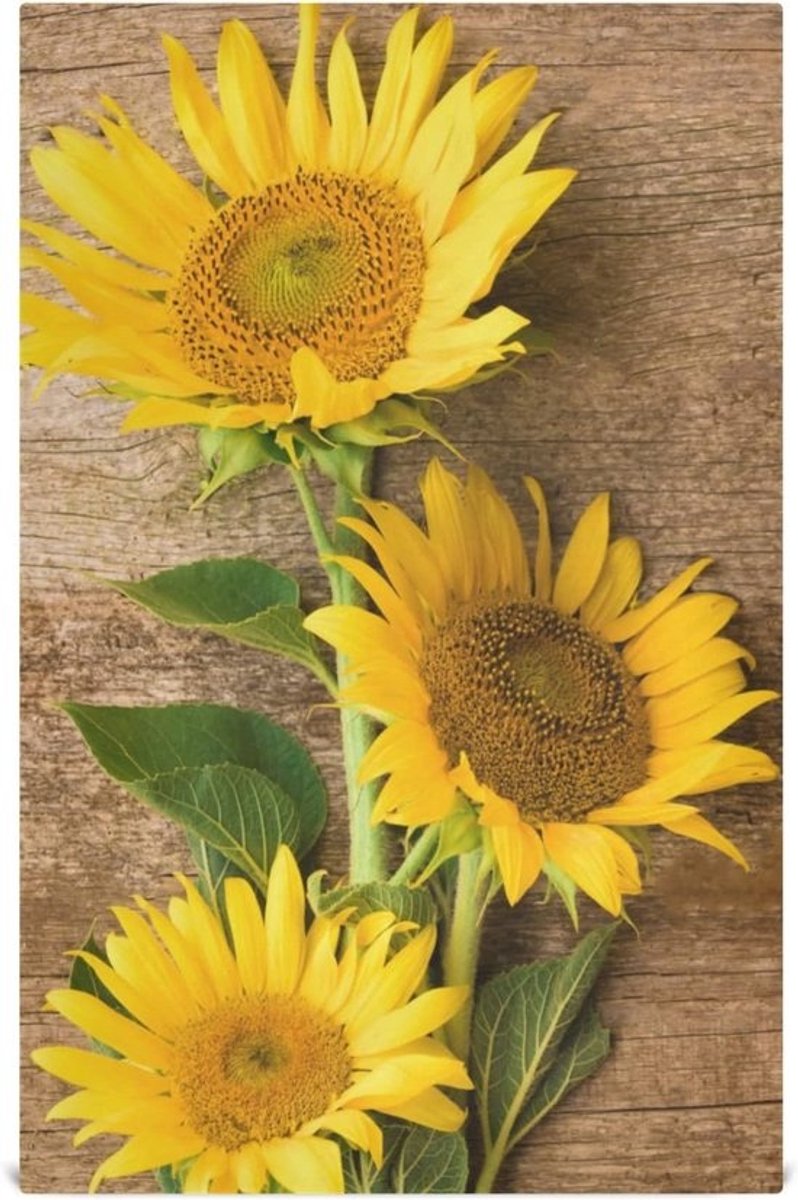 Zonnebloem Keukendoeken Microvezel 45,7 x 71,1 cm - Herbruikbaar, Absorberend, Sneldrogend, 4 Stuks