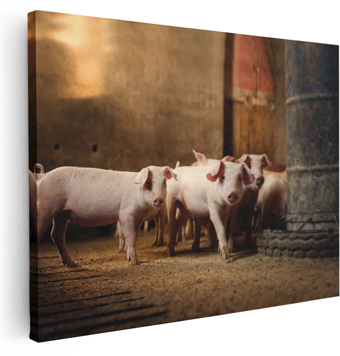 Artaza Canvas Schilderij Varkens op een Boerderij Stal - 160x120 cm - Groot - Wanddecoratie Woonkamer - Schilderijen - Muurdecoratie