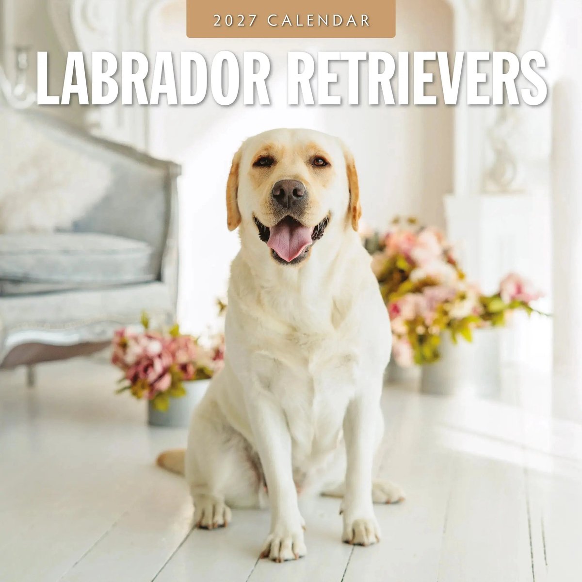 Labrador Retriever Kalender 2027
