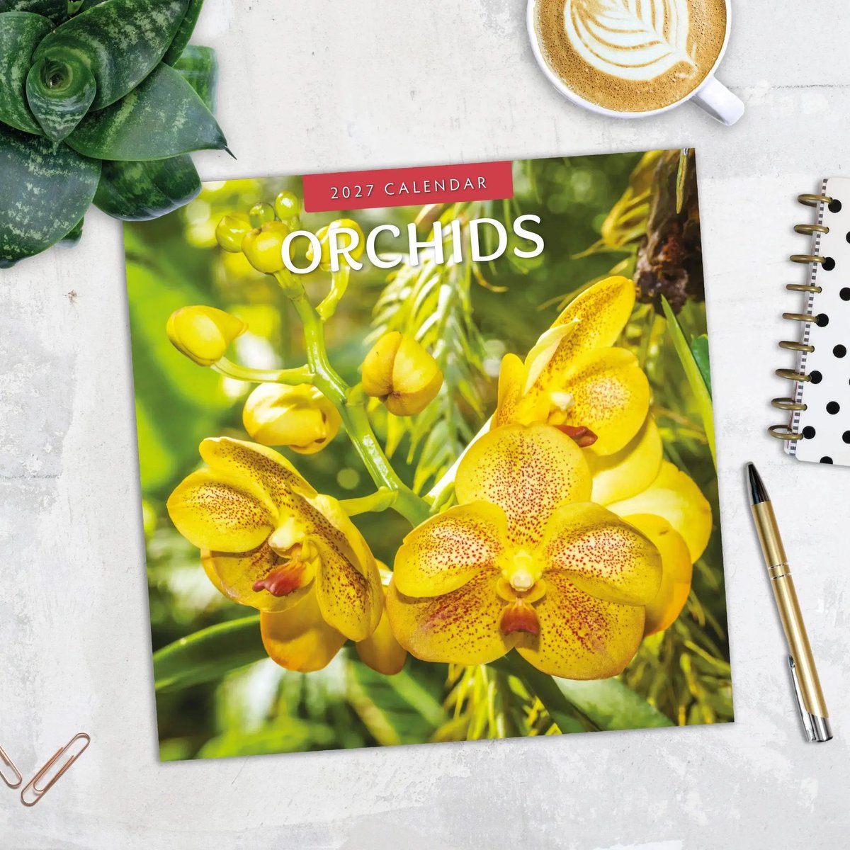 Orchidee Kalender 2027