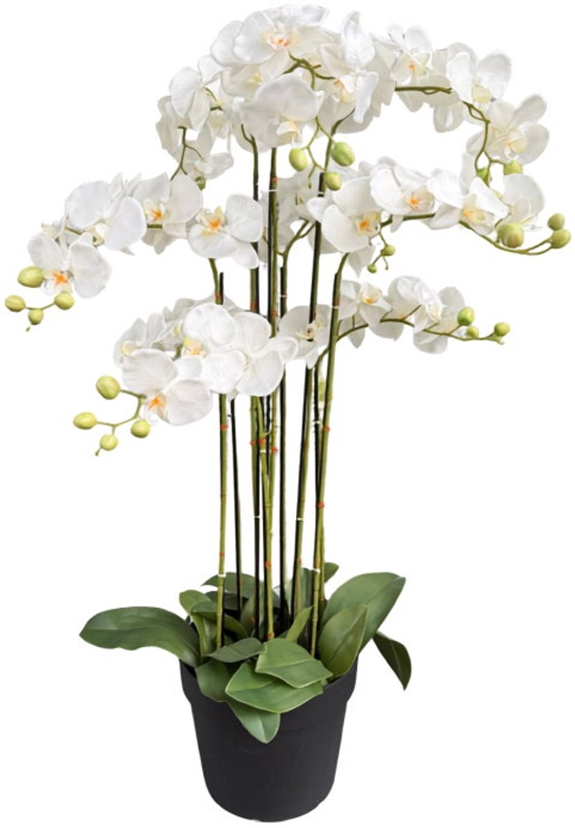 Orchidee wit in pot H 110 cm kunstplant Oosterik Home